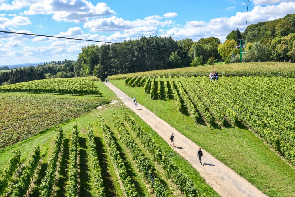 wandeling wijngaard Entre-Deux-Monts
